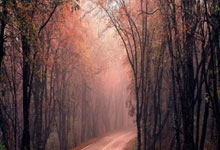 巴萨多名欧洲国脚将于3月23日结束欧国联比赛,27日要踢补赛.