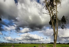 王大雷:伊万为球队带来团队精神 相信队员们能有出色的表现.