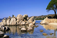 NG体育:陶菲克下重手:国手不出成绩可直接开除 新人足够优秀可破格提拔.